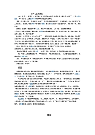动人心弦的微笑