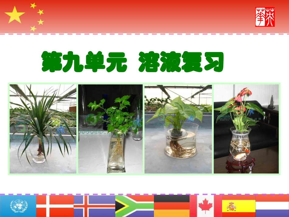 九年级化学第九单元_溶液复习课件人教版_第1页