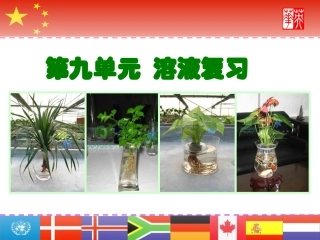 九年级化学第九单元_溶液复习课件人教版