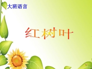 大班语言--红树叶