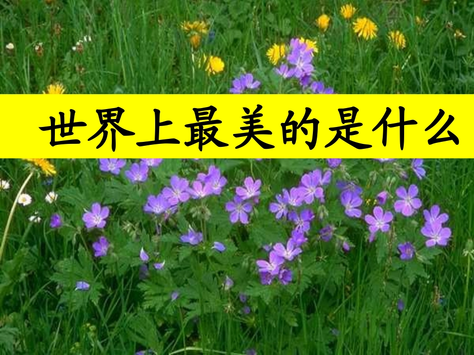 世界上最美的是什么PPT课件_第1页