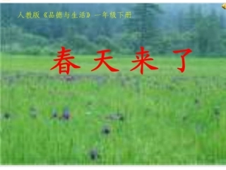 一年---我们播种春天