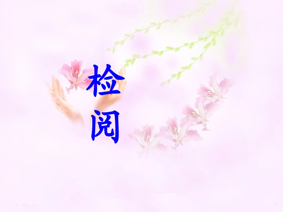 《检阅》教学课件1_第1页