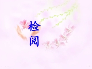 《检阅》教学课件1