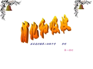 七年级生物消化和吸收