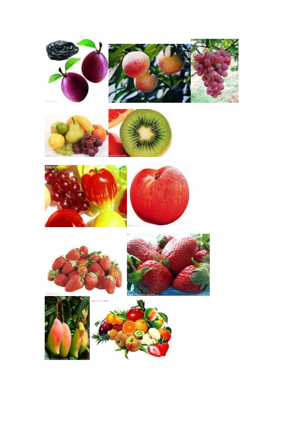 幼儿园小班各种各样的水果_第2页