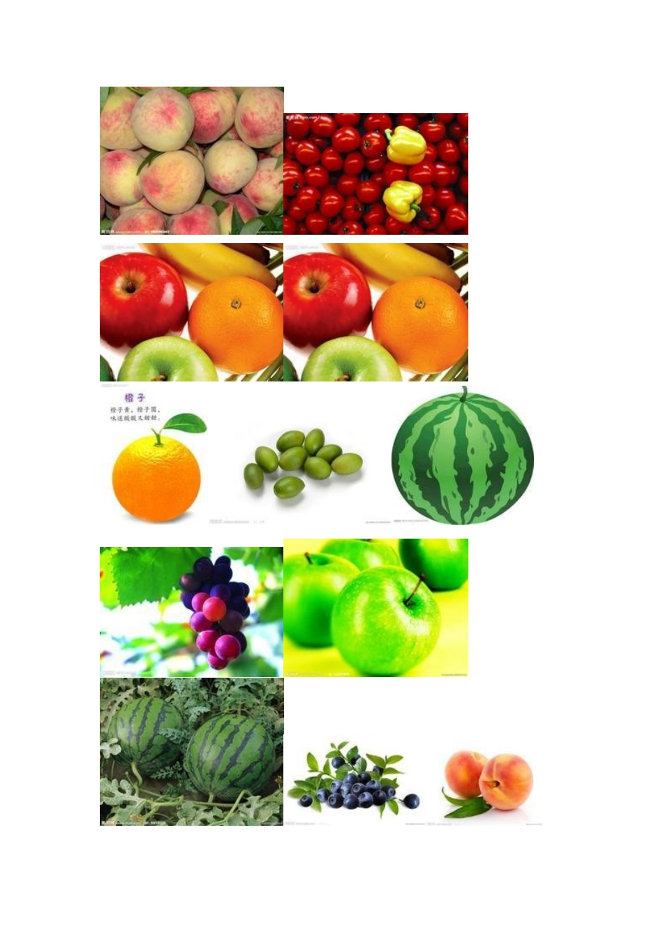 幼儿园小班各种各样的水果_第3页