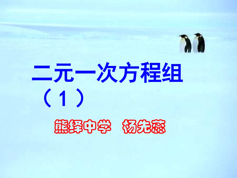 二元一次方程组（杨）(2)_第1页