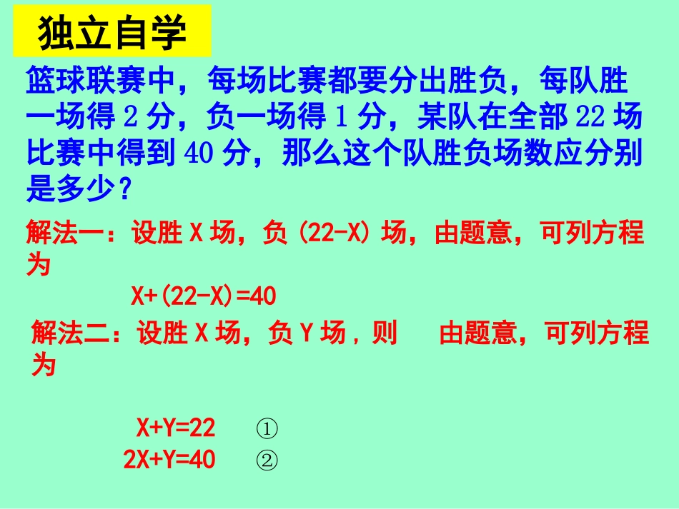 二元一次方程组（杨）(2)_第3页