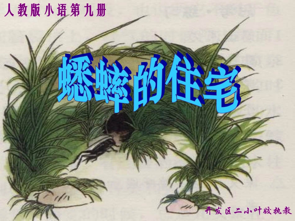 四年级语文蟋蟀的住宅_第1页