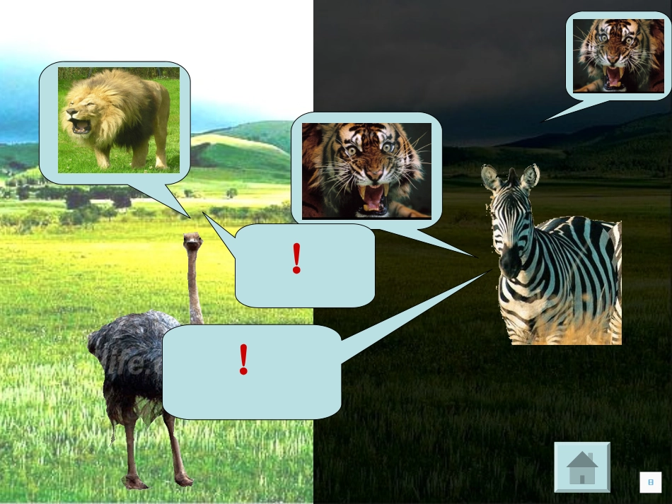 《共生动物》__大班主题：动物大世界_夏叡真_第3页