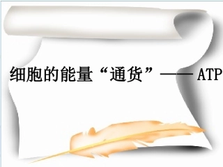 细胞的能量“通货”——ATP