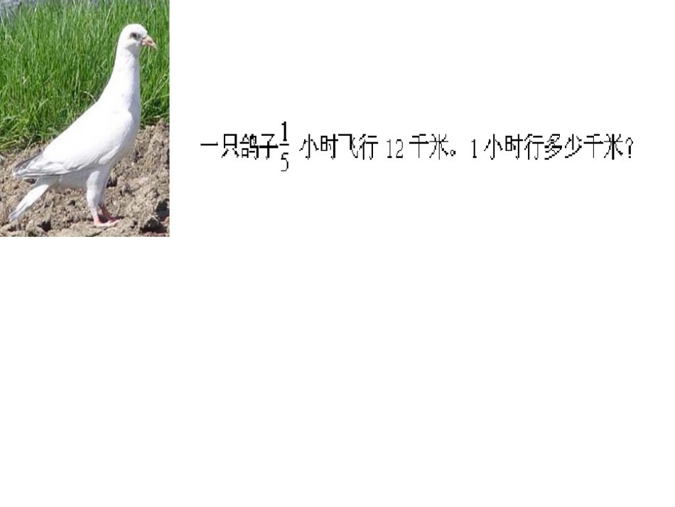 整数除以分数_第2页