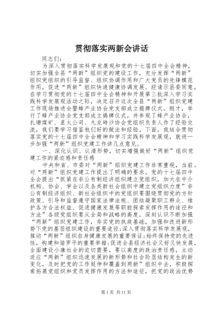 贯彻落实两新会讲话发言