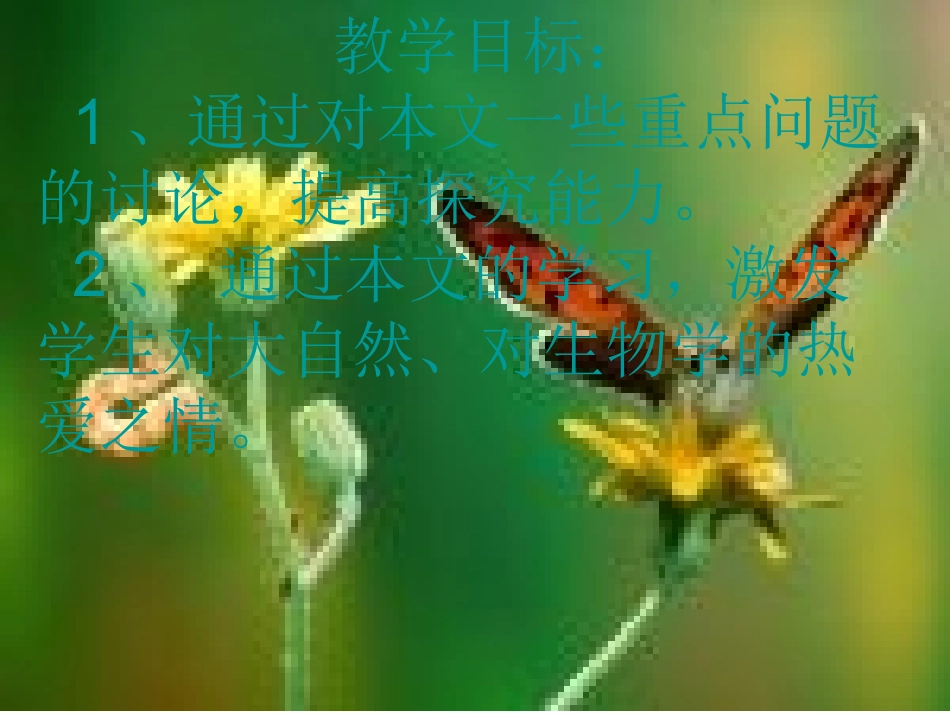 作为生物的社会 (2)_第2页