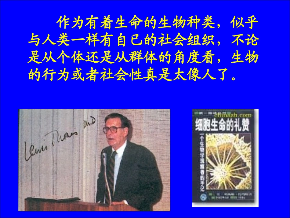 作为生物的社会 (2)_第3页