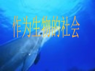 作为生物的社会 (2)