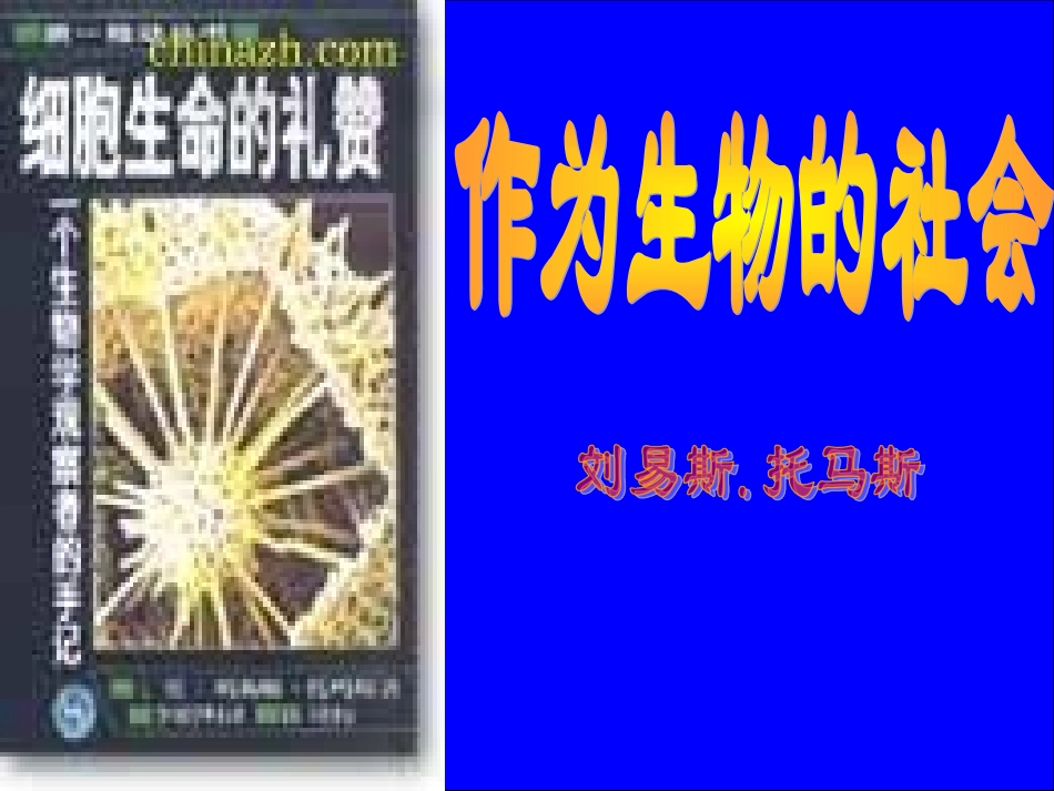 作为生物的社会_第1页