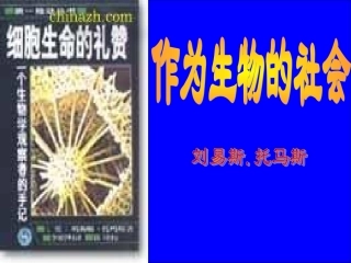 作为生物的社会