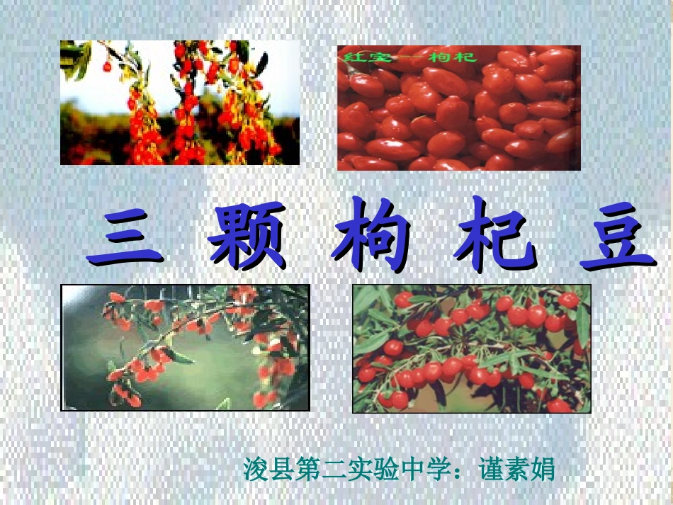 《三颗枸杞豆》课件 (2)_第1页