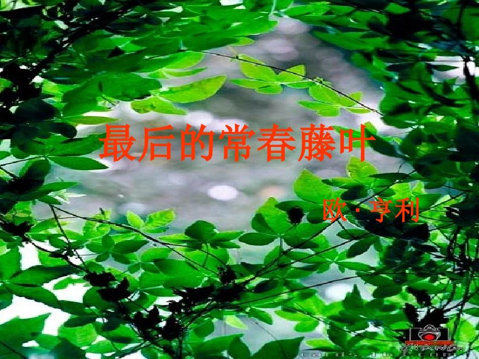 《最后的常春藤叶》_第1页