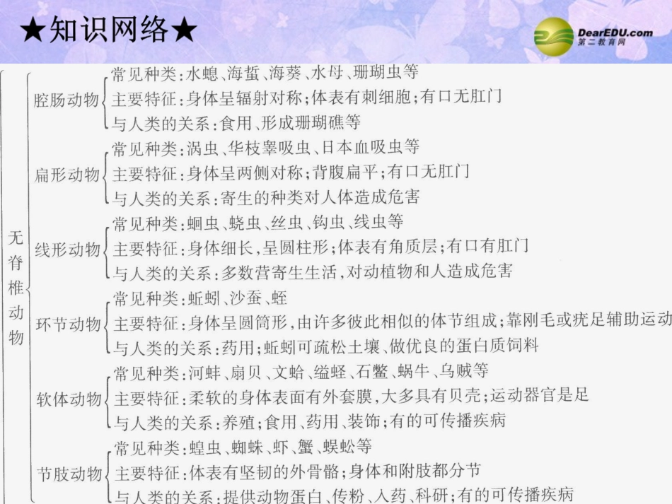 八上《动物的主要类群》复习_第2页