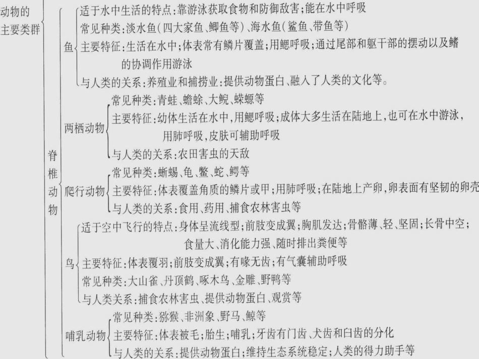 八上《动物的主要类群》复习_第3页