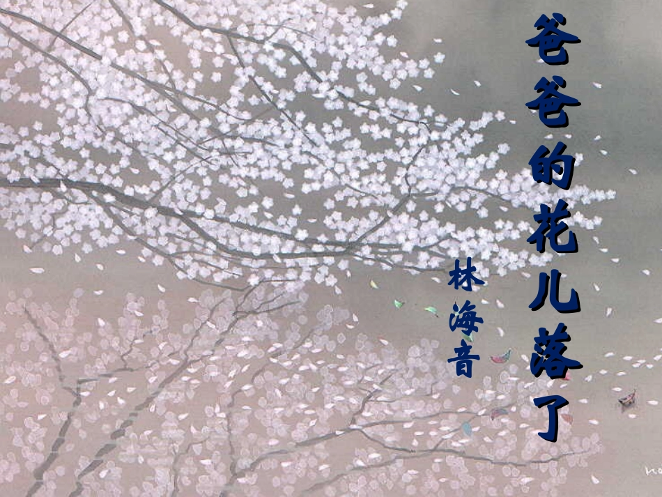 爸爸的花儿落了(精制)_第2页