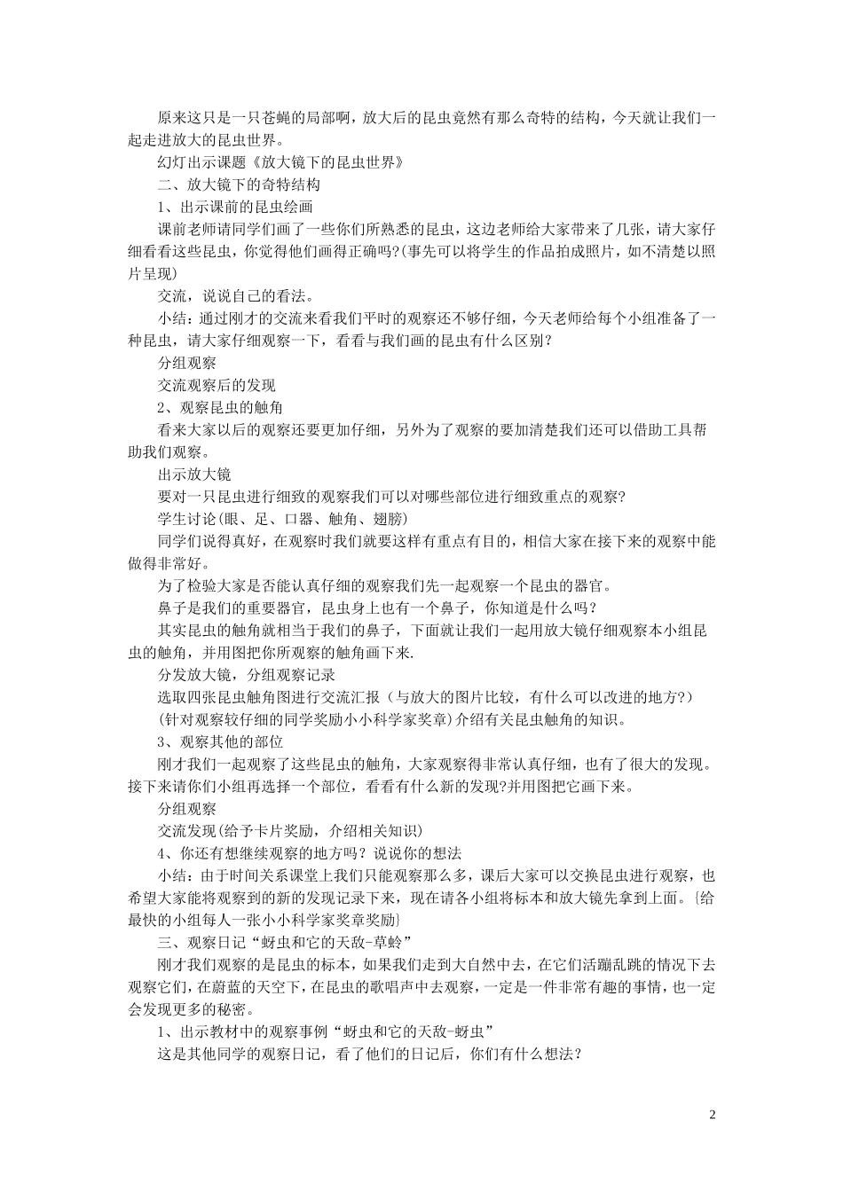 《放大镜下的昆虫世界》教案3_第2页