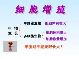 细胞的增殖复习