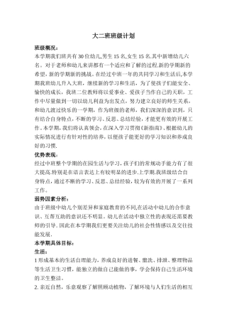 大二班级计划