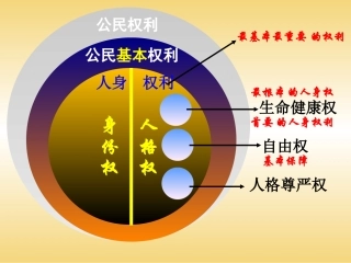 八下第三课第二框《同样的权利同样的爱护》