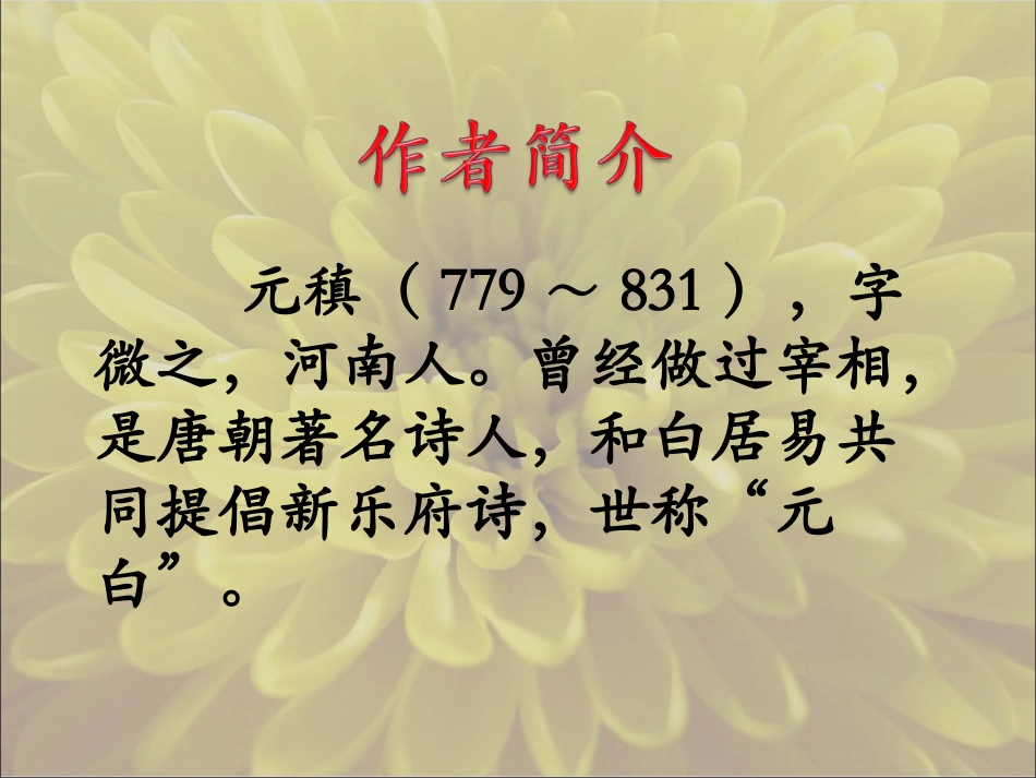 《菊花》教学课件_第3页