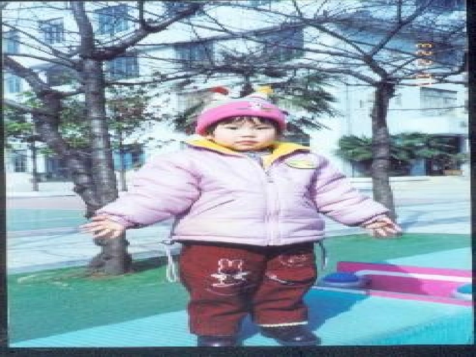 《人们怎样过冬》PPT_第3页