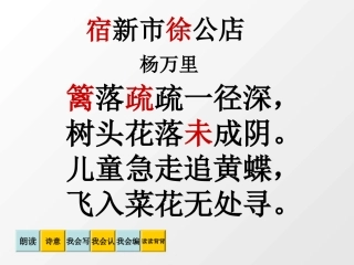 《宿新市徐公店》教学课件