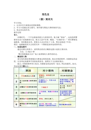 《变色龙》张盼Convertor