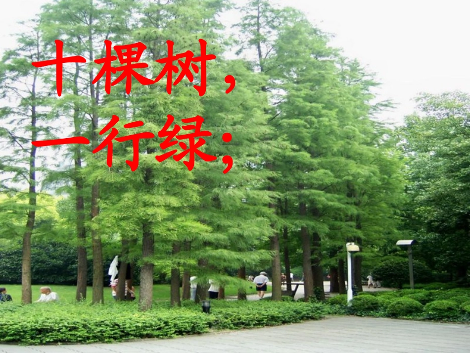 《绿》教学课件（拓展学习）_第3页