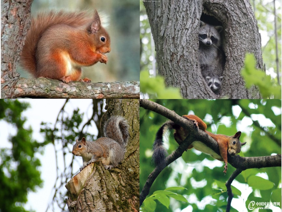 会动的房子中班_第3页