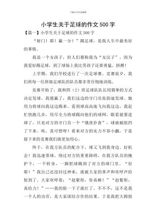 小学生关于足球的作文500字