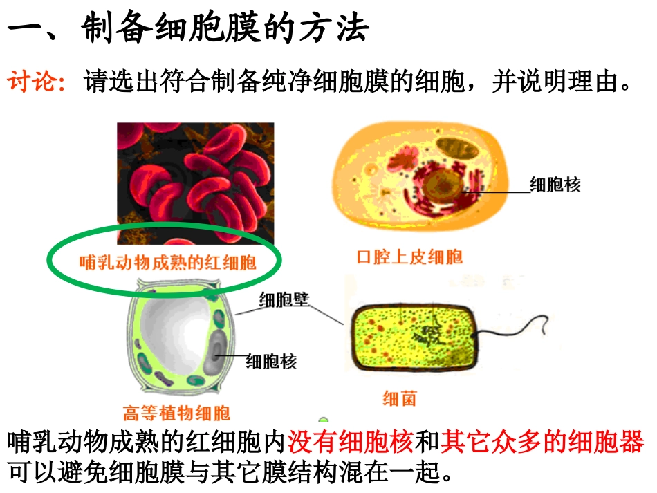 细胞膜——系统的边界_第2页