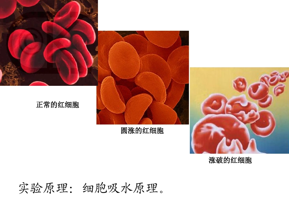 细胞膜——系统的边界_第3页