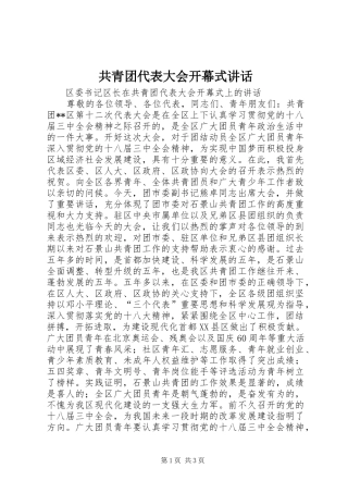 共青团代表大会开幕式讲话发言