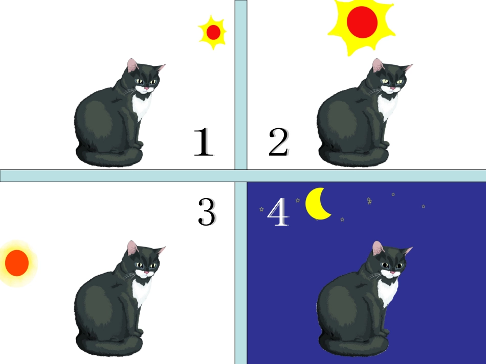 口语交际《观察中的发现》_第3页