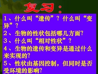 新人教版八年级生物722基因在亲子代间的传递课件