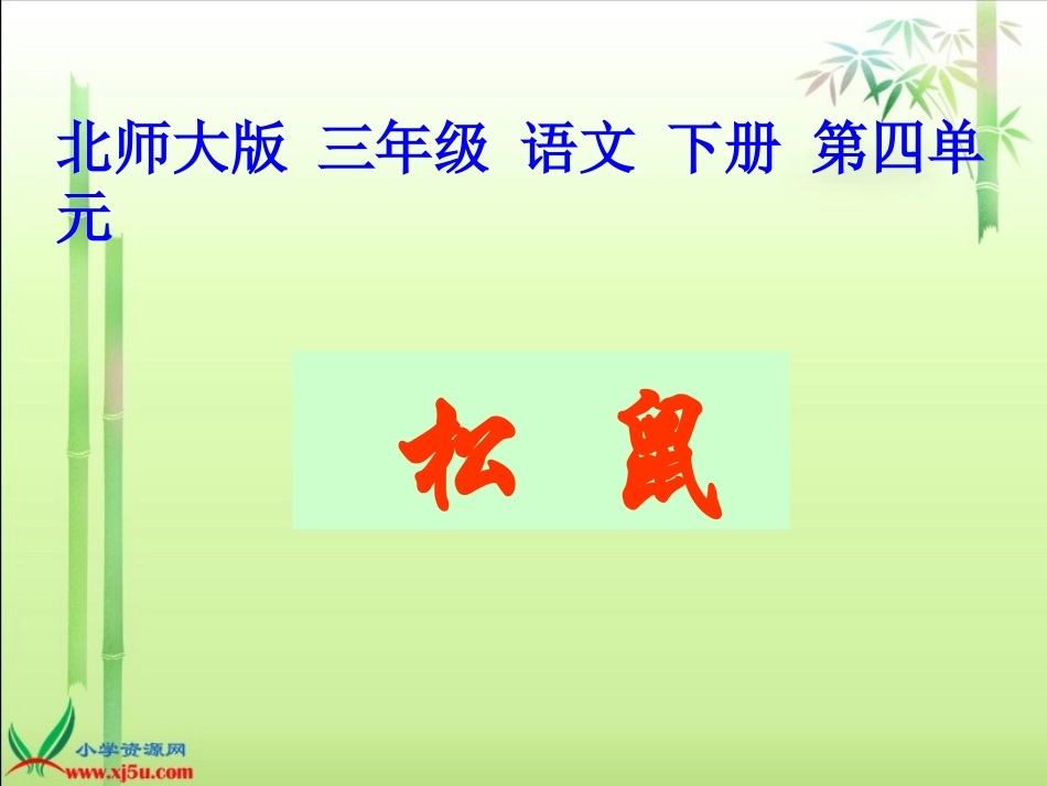 北师大版三年级语文下册《松鼠3》PPT课件_第1页