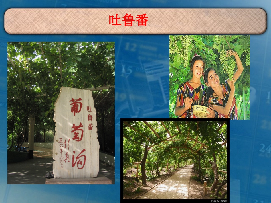 汉通西域和丝绸之路(15)_第1页