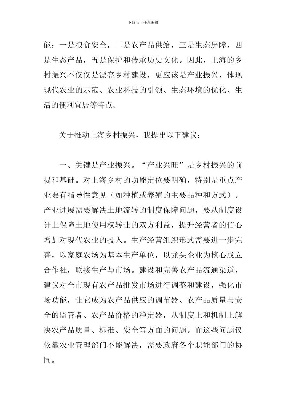 关于乡村振兴的意见建议_第2页