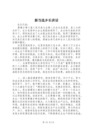 新当选乡长讲话发言