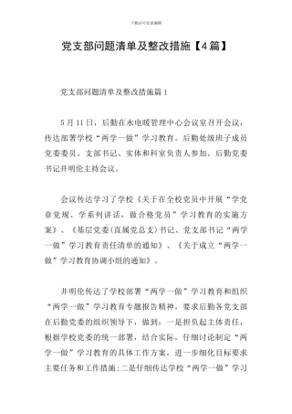 党支部问题清单及整改措施