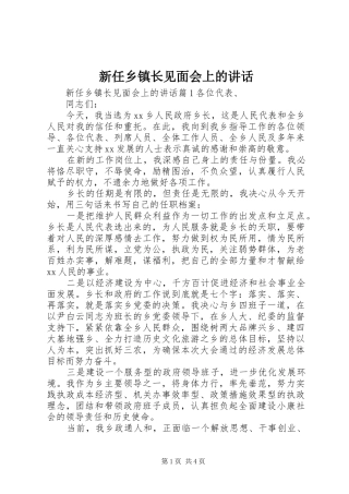 新任乡镇长见面会上的讲话发言